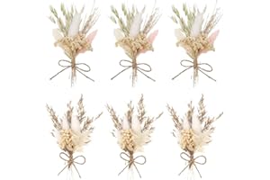 FENGQQKJ Trockenblumenstrauß Mini Echten Trockenblumen zum Basteln Boho Trockenblumenstrauß Klein Handgemachter Blumenstrauß Getrocknete Blumenstrauss DIY Trockenblumen Blumen Deko für Bilderrahmen 6 Bündel