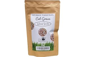 CAT FURNATURE .CO .UK Cat FurNature - Cat Grass Seeds - Wheat (150g)