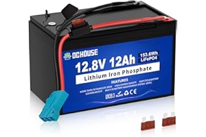 DCHOUSE Batteria Litio 12V 12Ah, 4000-15000 Cicli e Con Protezione BMS, Ricaricabile Batteria LiFePo4 12V Per UPS, Ecoscandaglio, Passeggino, Pannello Solare, Campeggio, Camper