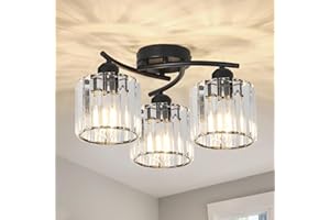 Rayofly Black Ceiling Light Fitting, 3-Lights Modern Flush Ceiling Lights Living Room, Crystal Chandeliers Ceiling Light with Glass Shade, Black Crystal Chandelier for Bathroom Hallway Bedroom Kitchen