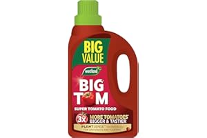 Westland Big Tom Tomato Food 2 Litre (Big Value)