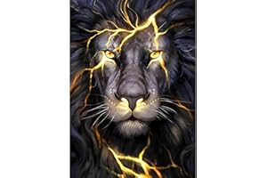 AIRDEA 5D DIY Broken Black Lion King Art Painting Kits, Full Drill for Adults Rhinestone Embroidery Crystal Arts Crafts, Canvas Painting by Numbers as Home Wall Decor 12x16inch