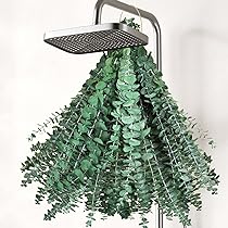 Mountains Gedroogde, Grote Rode Bonen Aanbieding bij Amazing Oriental