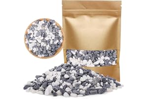 Dncvb Pierres décoratives blanches 900 g Pierres décoratives pour vases, pots de fleurs, petites pierres décoratives pour plantes grasses, aquarium, pot de fleurs, maison et jardin