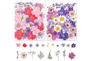 ROMCADE 66Pcs Dried Pressed Flowers Multicoloured Real Dried Natural Flowers and Press Leaves for DIY Face Jewelry Home decoration Candle Nail Pendant Card Scrapbook Art Craft Floral Decors (purple)