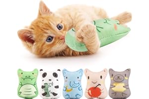 Dorakitten Cat Catnip Toys 5PCS Plush Interactive Cat Toys - Cat Chew Toy Bite Resistant Catnip Filled Kitten Toy for Cat Kitten Teeth Cleaning Playing Chewing (green)