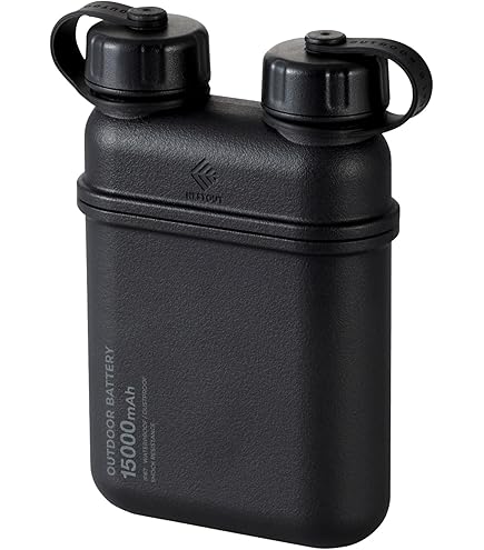 Batterie Externe LEXON NOMADAY 3000 MAh - Mousqueton Doré - 2 Ports USB-A/USB-C - Design Français - 2