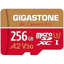 GIGASTONE Scheda Micro SD 128GB Extreme MAX V30 A2 - Recupero Dati 5 Anni, 160/100MB/s Per DJI, Insta360, Action Cam E Smartphone - 3