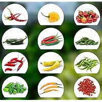 Chili Samen Set | 12 Varianten Chili Saatgut von scharf bis mild | Anzuchtset mit Chili Premium- Natursamen |einfache…