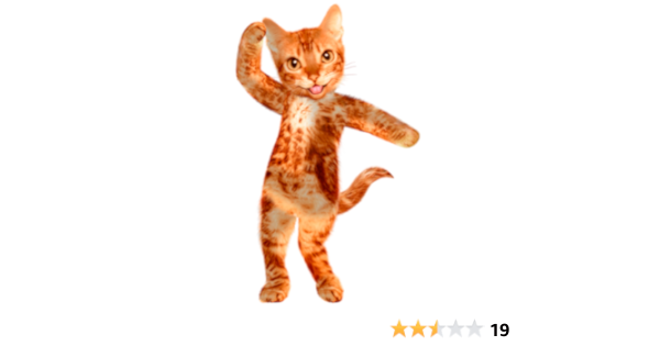 Danse Chat Qui Parle Amazon Fr Appstore Pour Android