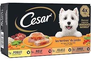 CESAR Repas pour Chien - 24 Barquettes (Lot de 6 Packs de 4x150g) - Pâtée pour Chien en Terrine au Coeur de Légumes - au Boeuf / Poulet / Volaille / Dinde, avec des Ingrédients Naturels