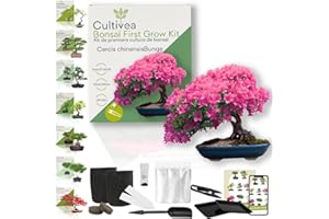 CULTIVEA® Kit First Bonsai- Kit de première culture de Bonsaï – Prêt à Pousser avec Graines & Accessoires – Idée Cadeau Jardinage | Made In France (Cercis Chinensis)