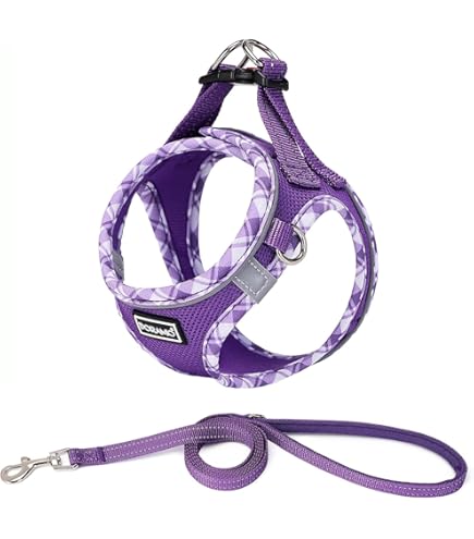 Gioco Osso Per Cani In Gomma Morbida Con Sonaglio - 16 Cm - Foto 6