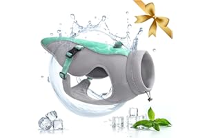 Vivi Bear Hundekühlweste mit Geschirr D-Ring für Laufen, Wandern, Bergsteigen Atmungsaktive Mesh-Hundejacke Sommer kühl und bequem Hundemantel einstellbar geeignet für mittelgroße kleine Hunde, M