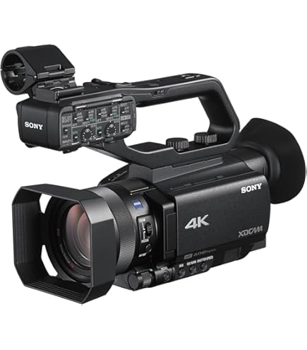 Buy Sony HXR-NX100 Full HD Camcorder (Black) Online at Low Prices