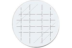 Self-Adhesive Labels Made of PE Film | Transparent | Round | Fully Perforated | Diameter 25 mm | Choice of Quantity | Sealing Labels | For Sealing Packaging, Envelopes, Mailings etc. / Pack of 100