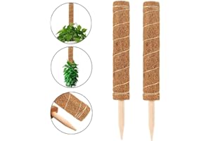 Wenxiaw Bastoncino di Muschio di Cocco Bastoncini Totem in Fibra di Cocco Supporto Piante di Cocco per Estensione Supporto per Piante da Giardino Rampicanti Rampicanti, 30 cm, 2 Pezzi