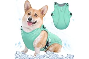 Kuoser Gilet rafraîchissant pour chien, manteau rafraîchissant pour chien, manteau frais respirant pour chiens, harnais de refroidissement réfléchissant pour chien, essentiel d'été pour chien, vert,