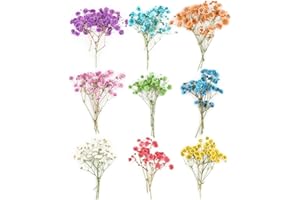 FENGQQKJ Juego de 45 flores secas naturales para artesanías Gypsophila para velas, joyas de resina, colgantes para uñas, decoración artesanal