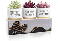 Birthday Gifts For Her,Gifts For Women,50th Birthday Gifts For Women,Gift Box for Her Best Friend,Sister Gifts,Gifts For Wome