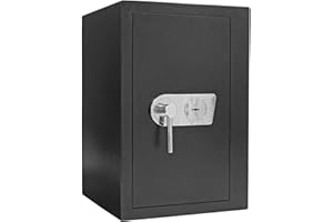 profirst Sigma 65 Armoire Protection de valeur en1