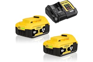 BATTOOL 2x 5.0Ah Batteries and 4A Charger Replacement for Dewalt 18V Battery DCB184 DCB200 DCB180 DCB182 DCB101 DCB107 DCB112 DCB105 DCB115 DCB203 Applicable to Cordless Power Tools Battery with LED Indicator