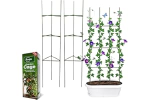 RUMSFEL Apoyo para Plantas, Robustos Postes de Soporte para Plantas, Jaula para Plantas de Tomate, Escalada Vegtables, Flowers, Fruit Grow Cage (Dos Grupos)