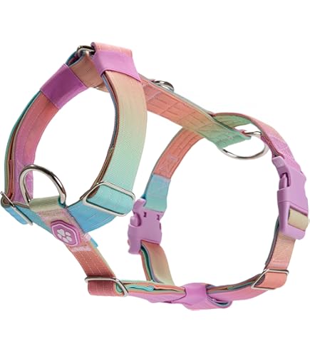 Spark Paws Tactische hondenhalsband - Heavy Duty, premium kwaliteit, dik en duurzaam voor grote en middelgrote honden - (2,5 cm) - Lime Wave Spark Paws Tactische hondenhalsband - Heavy Duty, premium kwaliteit, dik en duurzaam voor grote en middelgrote honden - (2,5 cm) - Lime Wave