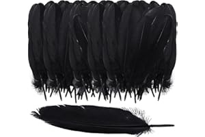 ZBHDEYG 150 plumas negras, decoración de bricolaje, manualidades de plumas, plumas naturales, decoración de plumas, se pueden utilizar para ropa, sombreros y decoración de muebles