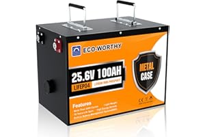 ECO-WORTHY 24V 100Ah Batteria al Litio LiFePO4, Ricaricabile con 3000 Cicli Profondi e BMS Incorporati, Sicuro e Durevole, Perfetta per Camper, Marine, Pannello Fotovoltaico, Casa
