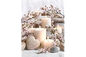 Daisen Art Diamond Painting Adulte, Diamant Painting, Peinture Diamant Kit artisanal de décoration murale pour la maison 30x40 cm