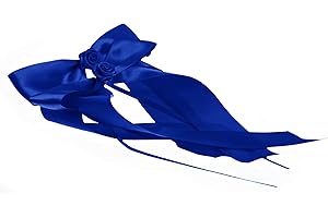 FlexiStore 10 nœuds ornés de Roses - décoration pour antenne/Voiture/Mariage - Bleu