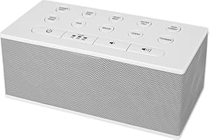 BIGMONAT Máquina De Ruido Blanco Portátil Para Adultos, Con Carga USB y 10 Sonidos Naturales - Para Privacidad De Oficina y Reducción De Ruido (Blanco)