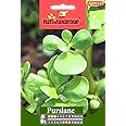 Agrimax Purslane Plant Seed