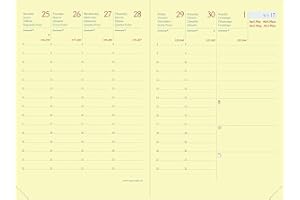 Quo Vadis 922477Q - Recambio de Agenda 13 meses RANDONNEE PRESTIGIO DIC 22 - DIC 23 UK/ES/CT/PT Semana Vista 9x12,5cm Crema, 2023