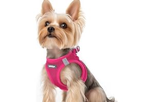 rabbitgoo Harnais Chien Petite Taille Rose Rouge XS, Harnais Chiot Respirante en Maille Souple, Arnet pour Chien Réfléchissant Facile à Mettre, Gilet Réglable pour Petits et Moyens Chiens pour Marche