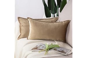 Madizz Lot de 2 Doux Velours Décoratif Housses de Coussin Luxe Style pour canapé Chambre Marron Clair 30 x 50 cm