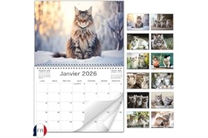 AEYAKA Calendrier Mural Chats 2026 – Calendrier Mensuel avec Photos de Chats, Format Mural A3, Organiseur Familial et de Bureau, Cadeau Parfait pour les Amoureux Français
