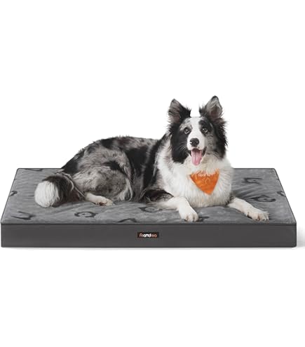 Favodormir Orthopedisch hondenbed, hondenkussen voor grote honden XXL, waterdichte kunstleren vloer, voor binnen en buiten, hondenmand, hondenmatras voor grote honden, 119 x 73 x 9 cm, beige