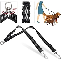 best double leash