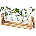 XXXFLOWER Desktop Propagation Station Propagators for Plants Cuttings Glass Plant Bulb Vase with Wooden Stand Glass Plant Pot and Metal Swivel Holder for Indoor Home Garden Wedding Décor (5 Bulbs)