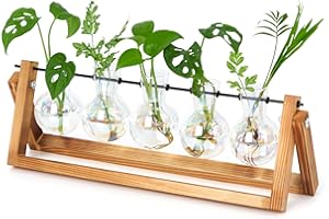 XXXFLOWER Desktop Propagation Station Propagators for Plants Cuttings Glass Plant Bulb Vase with Wooden Stand Glass Plant Pot and Metal Swivel Holder for Indoor Home Garden Wedding Décor (5 Bulbs)