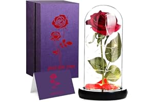 LOZACHE La Bella e La Bestia Rosa Amore eterno di Vetro Cupola Luce a LED, Rosa Artificiale Rossa con Lampada Decorazioni Regalo per Anniversario San Valentino Compleanno Natale