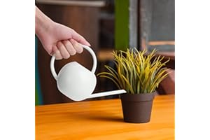 Danolt 400ML Weiss Gießkanne Klein Zimmerpflanzen, Mini Gießkanne Metall Langem Auslauf Giesskanne Klein ZimmerpflanzenInnen für Innen Wohnung Home Büro Sukkulenten