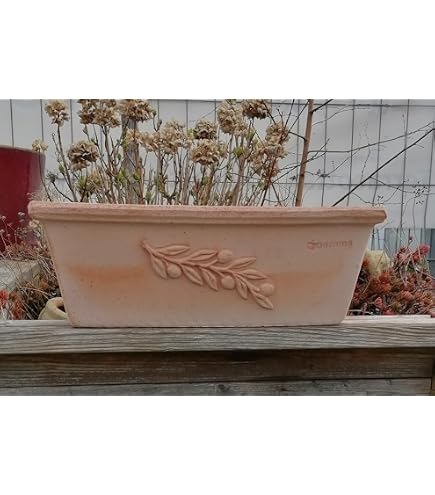 Original Italienischer winterfester Blumenkasten 40 cm mit Olivendekor echt Terracotta  Terrakotta Garten Deko Pflanztopf Balkonkasten Mediterran Oliven:  Amazon.de: Garten