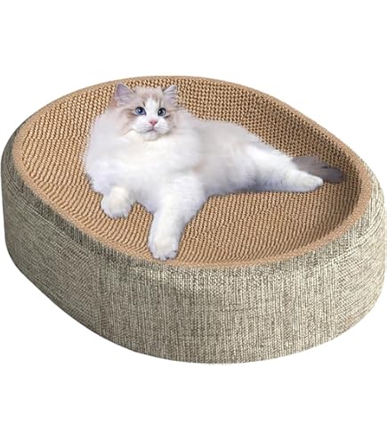 Planche à Gratter Et Lit Polyvalent 2 En 1 Pour Chat | Tapis Ovale à Gratter Pour Animaux Domestiques Pour Chats D'intérieur