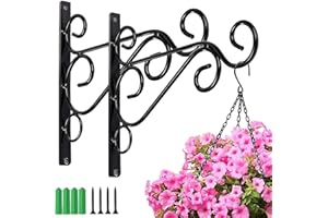 HZSOOCH 2 Pack 10 Inch Hanging Basket Bracket, Wall Hanging Hooks Hanger, Heavy Duty Hanging Brackets with Screws for Flower Basket Plants Bird Feeder Wind Chimes (Black)