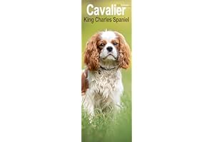 Cavalier King Charles Spaniel Slim 2026 Calendar | Slimline Wall Calendar | Dog Breed Gift | Plastic Free Packaging | by Avonside Publishing