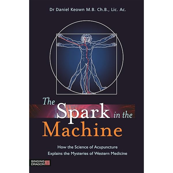 健康・医学 Applied ChannelTheory in ChineseMedicine Applied Channel Theory in Chinese Medicine Wang Ju-Yi's