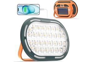 DANCINGBOAR Faro LED Ricaricabile 30W 2000LM, Ricarica USB, 4 Modalità di Illuminazione, IP65 Impermeabile, Compatto e Portatile, Ideale per Campeggio e Lavoro, 1 Pezzi